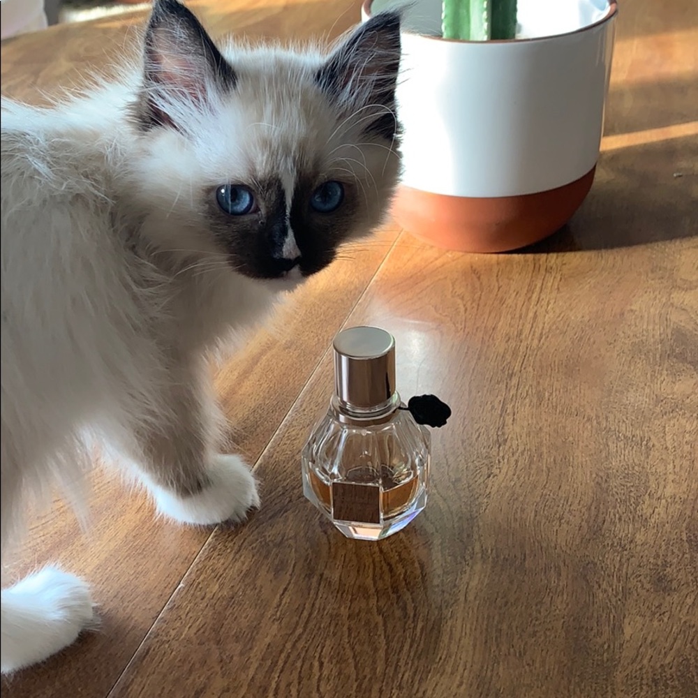 Flowerbomb 1 fl oz
